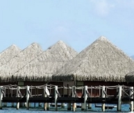 iImg4